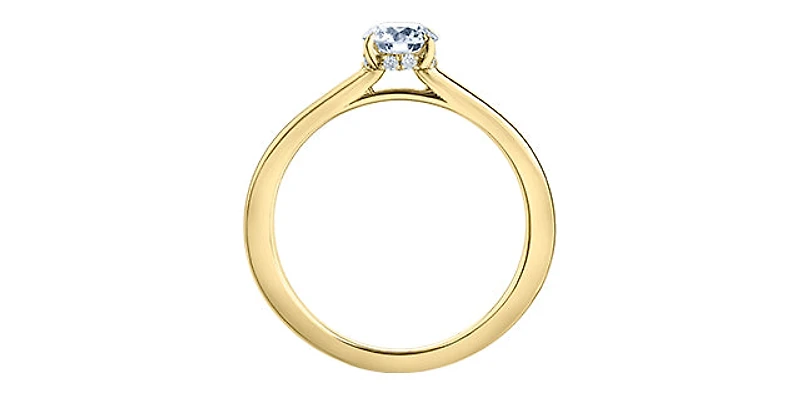 18K Yellow Gold 0.55cttw Round Brilliant Cut Canadian Diamond Hidden Halo Engagement Ring - / White