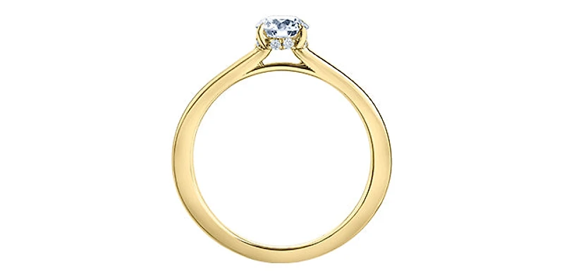 18K Yellow Gold 1.05cttw Round Brilliant Cut Canadian Diamond Hidden Halo Engagement Ring - / White