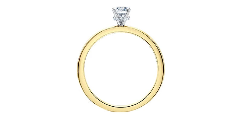 18K Yellow Gold 0.53cttw Round Brilliant Cut Canadian Diamond Hidden Halo Engagement Ring - / White