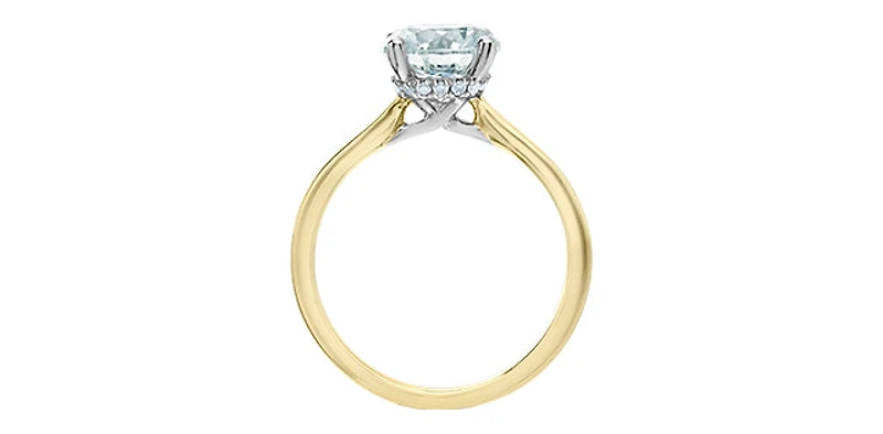 14K Yellow and White Gold 3.10 Cttw Lab Grown Round Cut Diamond Engagement Ring with Hidden Halo - /