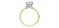 14K Yellow and White Gold 3.10 Cttw Lab Grown Round Cut Diamond Engagement Ring with Hidden Halo - /