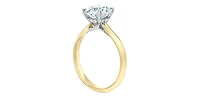 14K Yellow and White Gold 3.10 Cttw Lab Grown Round Cut Diamond Engagement Ring with Hidden Halo - /