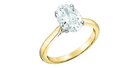 14K Yellow and White gold 2.157cttw Lab Grown Oval Diamond Ring with Hidden Halo - 4 / yellow gold