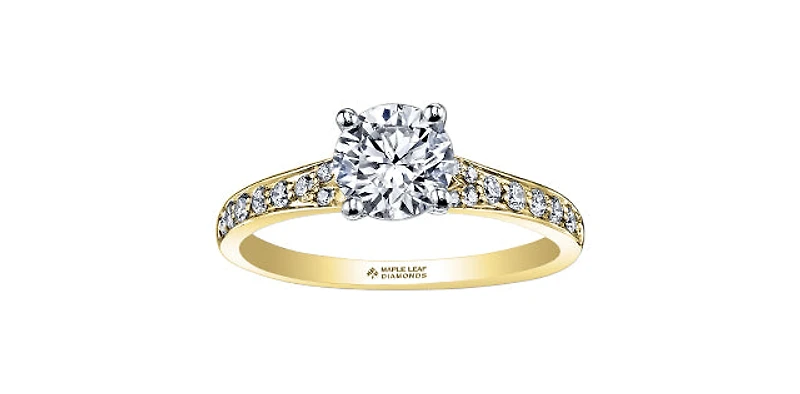 18K Yellow Gold 0.50cttw Round Brilliant Cut Canadian Diamond Engagement Ring - / 14K White