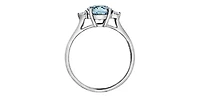 14K White Gold Aquamarine and 0.10cttw Canadian Diamond Ring - 4 / White gold