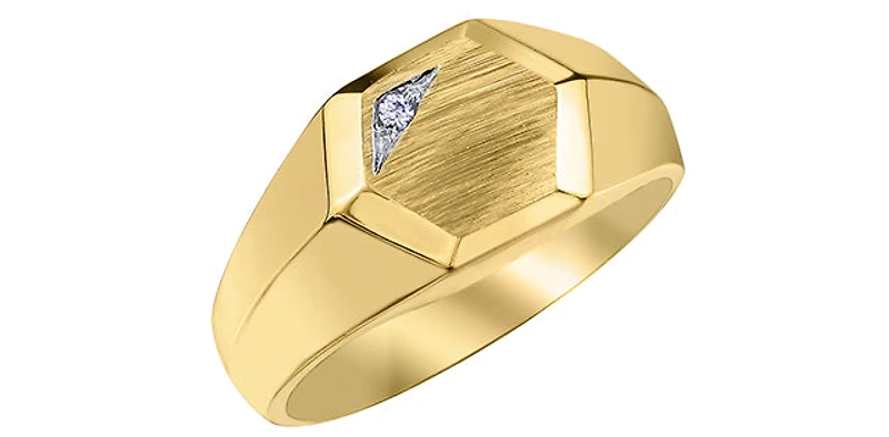 10K Yellow Gold 0.01cttw Diamond Signet Ring, Unisex