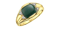 10K Yellow Gold 0.02cttw Diamond and Bloodstone Gents Ring, size 10