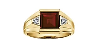 10K Yellow Gold 3.0cttw Genuine Garnet & 0.03cttw Diamond Gents Ring, 10 - /
