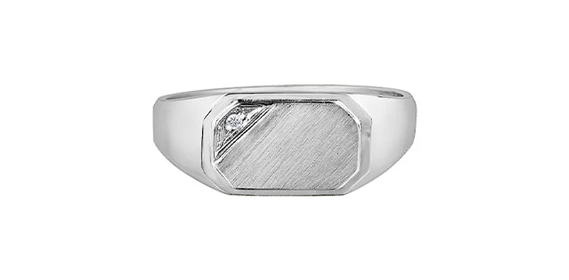 10K White Gold 0.007cttw Diamond Signet Ring - /