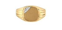 10K Yellow Gold 0.01cttw Diamond Men's Signet  Ring, size 9