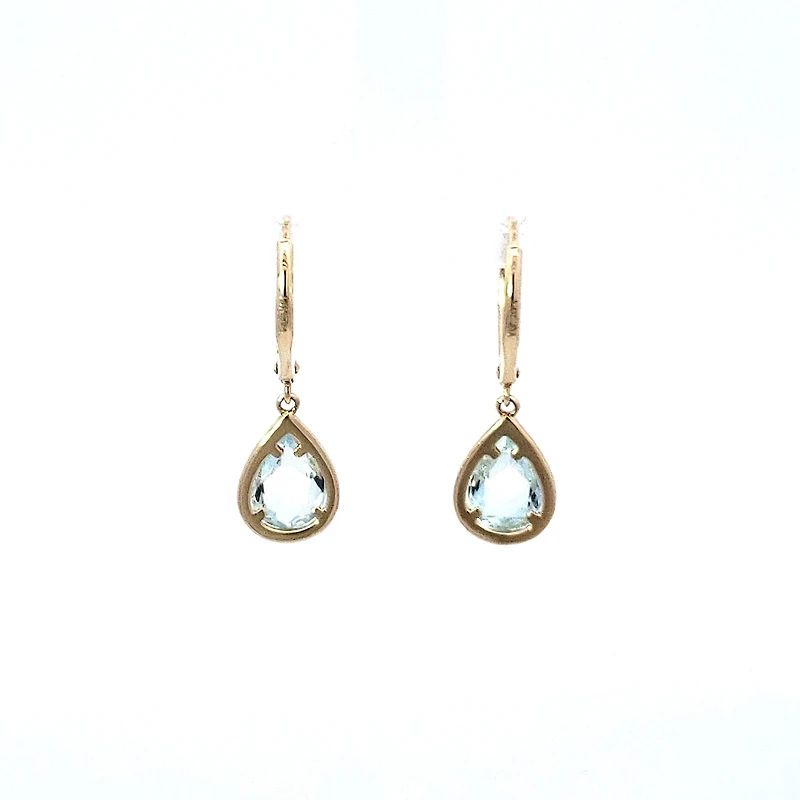 14K Yellow Gold Diamond and Aquamarine Earrings