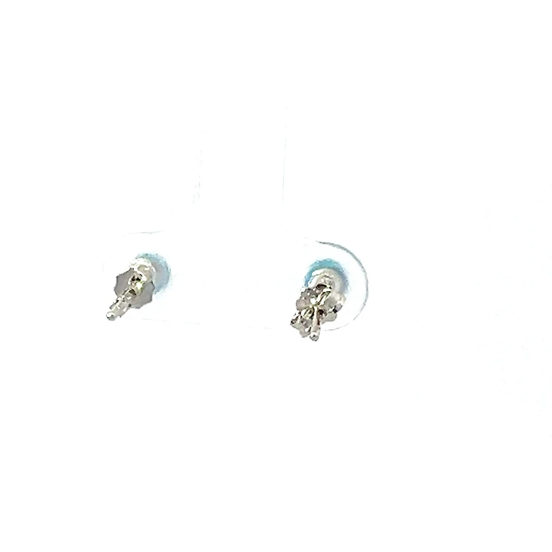 925 Sterling Silver Blue Stone Earrings