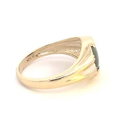 10K Yellow Gold 0.02cttw Diamond and Bloodstone Gents Ring, size 10