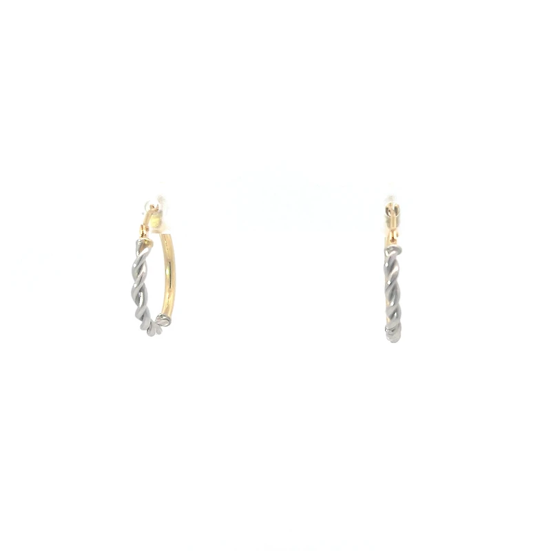 10K Yellow and White Gold Earrings