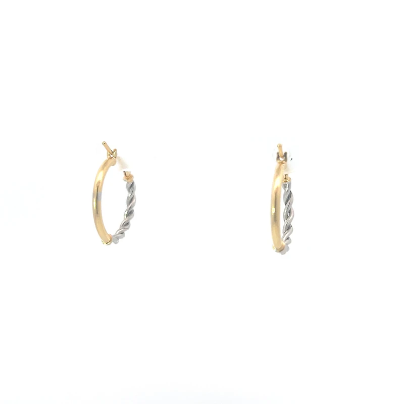 10K Yellow and White Gold Earrings