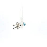 925 Sterling Silver Blue Stone Earrings