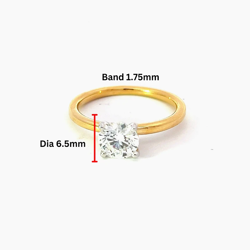 14K Gold 1.01cttw Round Brilliant Cut Canadian Diamond Engagement Ring