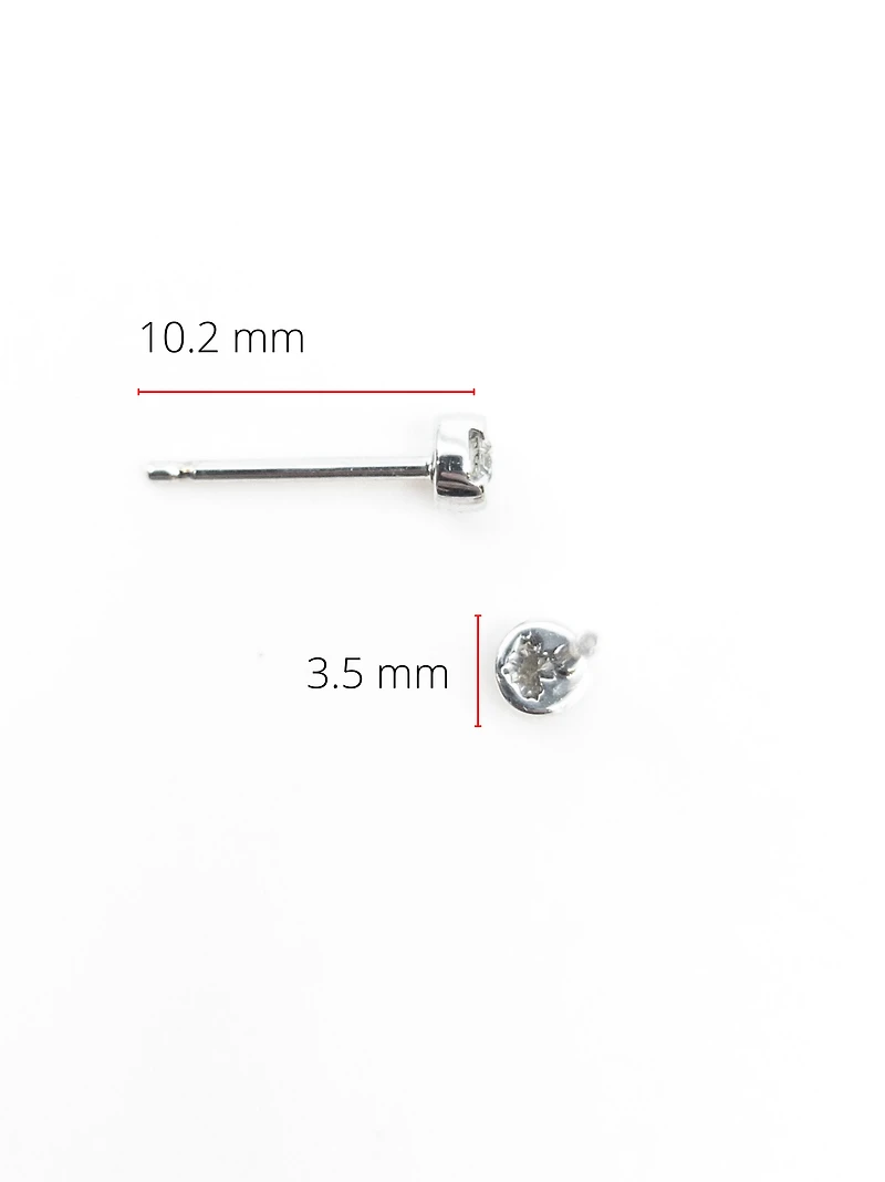 10K White Gold 0.12cttw Canadian Diamond Stud Earrings