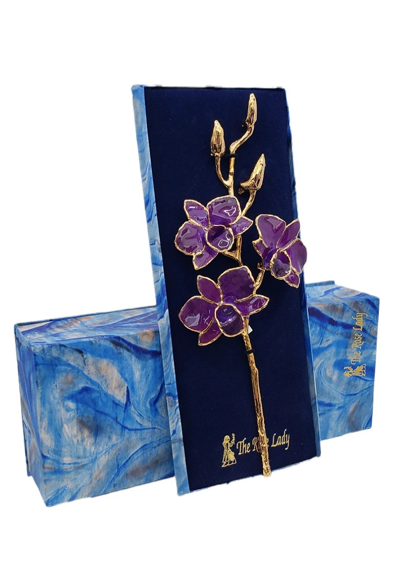Lacquer Dipped Gold Trimmed Purple Real Dendrobium Orchid Stem