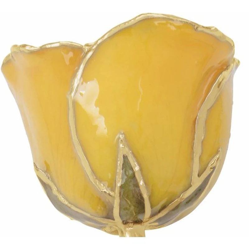 24K Gold Dipped Lacquered Genuine Yellow Rose