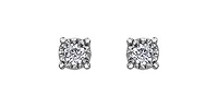 10K White Gold Diamond Earring
