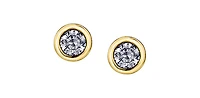 14K Yellow Gold 0.30cttw Canadian Diamond Bezel Set Earrings