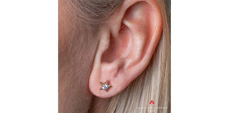 10K Yellow Gold 0.125cttw Canadian Diamond Star Stud Earrings