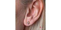10K Yellow Gold 0.125cttw Canadian Diamond Star Stud Earrings