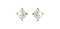 10K Yellow Gold Pearl and Diamond Earrings with Butterfly Backs