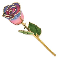 24K Gold Dipped Lacquered Genuine Pink and Navy Rose