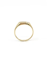 10K Yellow Gold 0.008cttw Diamond Signet Ring, size 6
