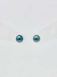 Cultured Black Pearl Stud Earrings
