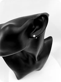 14K White Gold 0.33cttw Round-Cut Diamond Cluster Stud Earrings