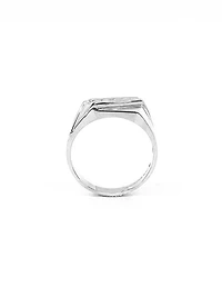 10K White Gold 0.20cttw Gents Diamond Ring, size 10