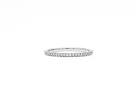 10K/14K White Gold Diamond Pave Band - Diamonds cttw / 4