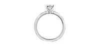 10K  White Gold 0.30cttw Diamond Engagement Ring - /