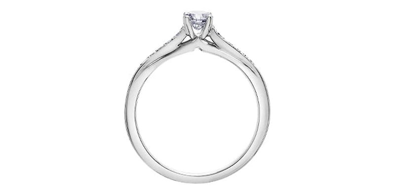 10K White Gold 0.33cttw Round Brilliant Cut Canadian Diamond Engagement Ring - / 4.5