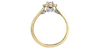 14K Yellow Gold 0.35cttw Round Brilliant Cut Canadian Diamond Halo Engagement Ring