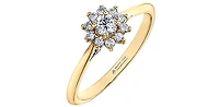 14K Yellow Gold 0.35cttw Round Brilliant Cut Canadian Diamond Halo Engagement Ring