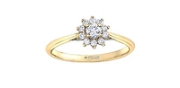 14K Yellow Gold 0.35cttw Round Brilliant Cut Canadian Diamond Halo Engagement Ring