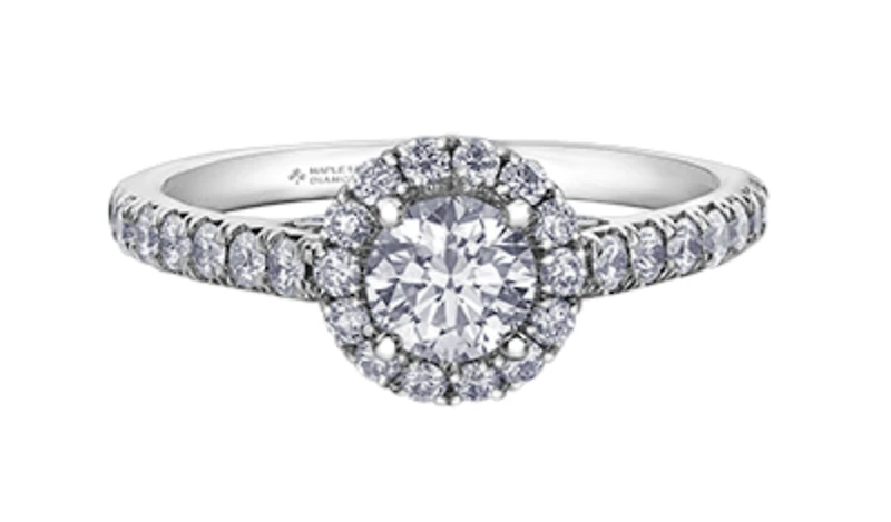 18K White Gold/Palladium Alloy (hypoallergenic) 1.00cttw Round Brilliant Halo Diamond Ring - Gold /