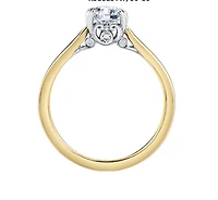 18K Yellow Gold/Palladium Alloy (hypoallergenic) Round Brilliant Solitaire Diamond Ring - Carat Total Weight / White/ Palladium
