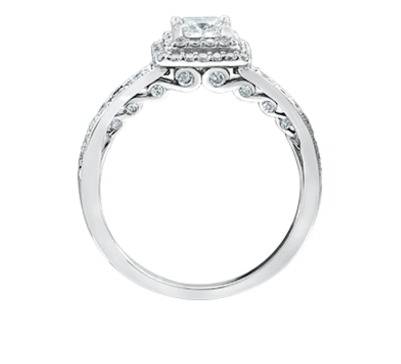 18K White Gold/Palladium Alloy (hypoallergenic) 0.65-1.50cttw Princess Shape Double Halo Diamond Ring - / Carat Total 5