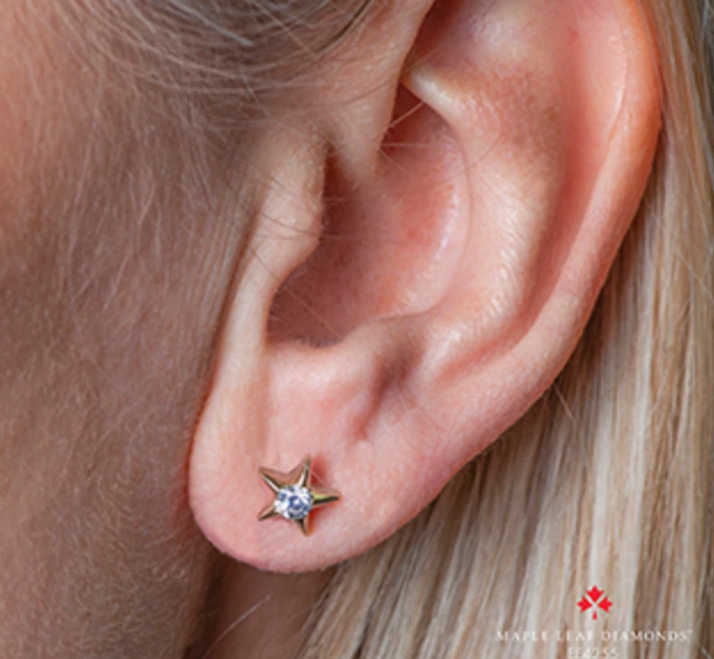 10K Yellow Gold 0.12-0.28cttw Canadian Diamond Star Stud Earrings - / Carat total