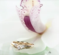 14K Yellow Gold 0.04cttw Canadian Diamond Ring, 6.5