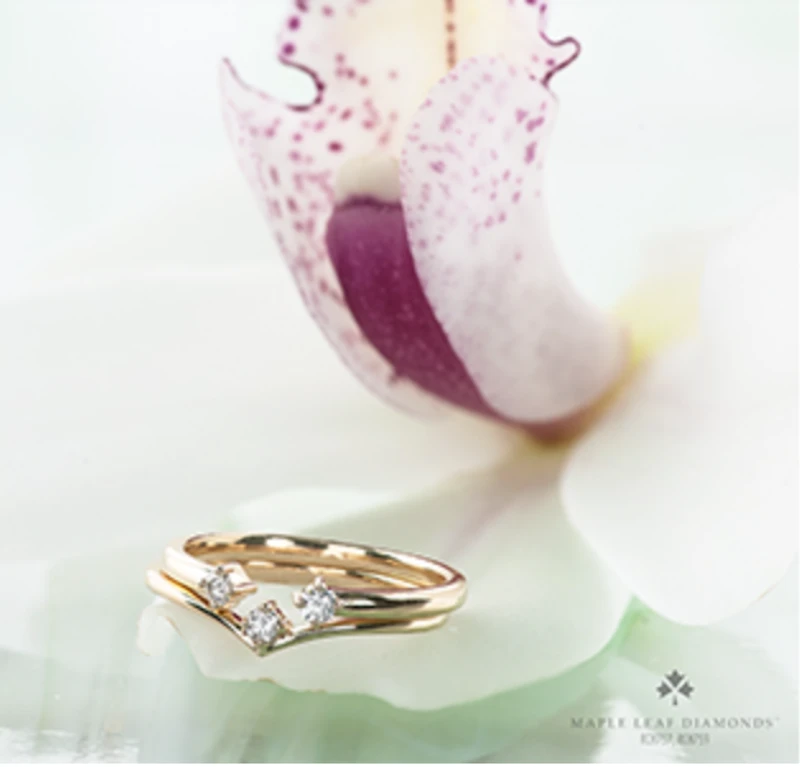 14K Yellow Gold 0.08cttw Canadian Diamond Ring, 6.5