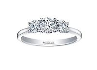 Platinum 0.50-1.00cttw Canadian Round Brilliant Multi Stone Diamond Engagement Ring - 0.50 Carat Total /