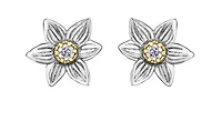 14K White & Yellow Gold 0.12cttw Manitoba Provincial Flower Diamond Stud Earrings