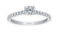 18K Yellow Gold & Palladium Alloy (hypoallergenic) 0.55-0.95cttw Canadian Diamond Engagement Ring - / Carat Total