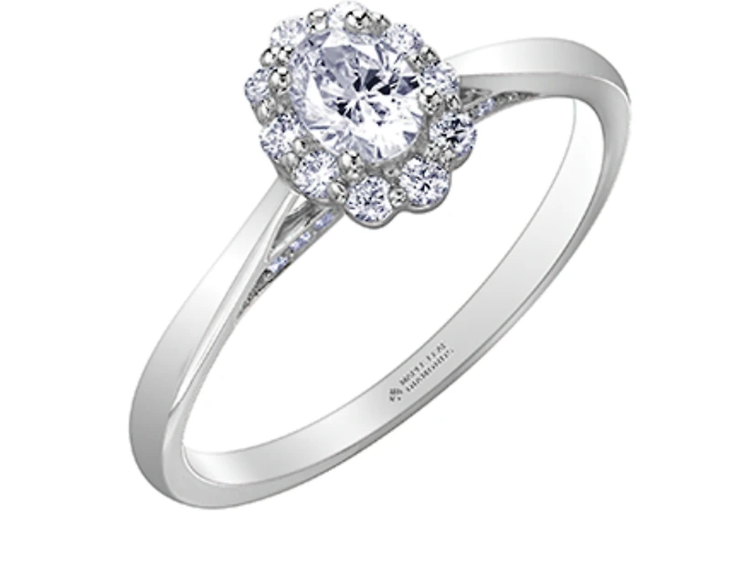 18K White Gold & Palladium Alloy (hypoallergenic) 0.50cttw Canadian Oval Shape Diamond Engagement Ring - / 4.5